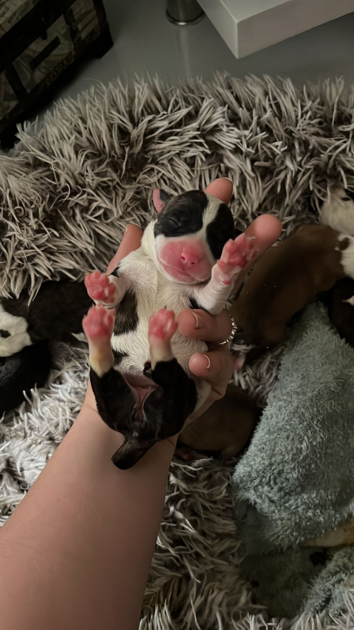 WhatsApp Image 2025 01 29 at 14.20.55