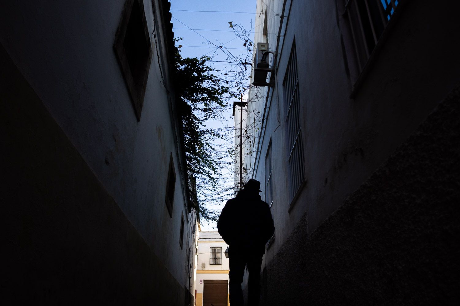 Calle Cadenas, en el centro de Jerez, donde el emparrado comienza a agarrar con fuerza con vistas a la explosión verde de la primavera.