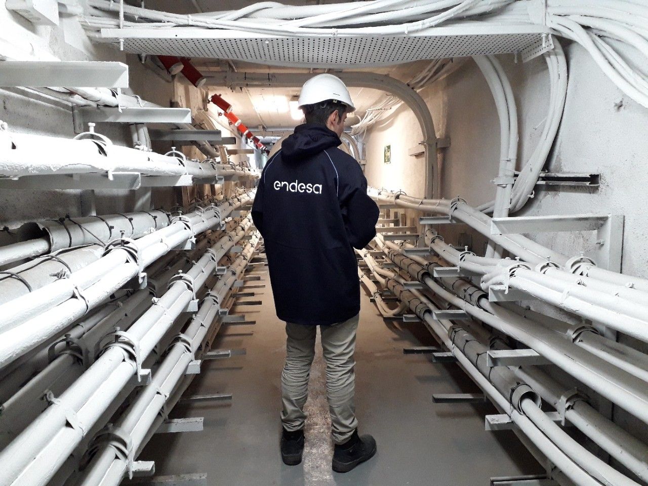Un empleado de Endesa.