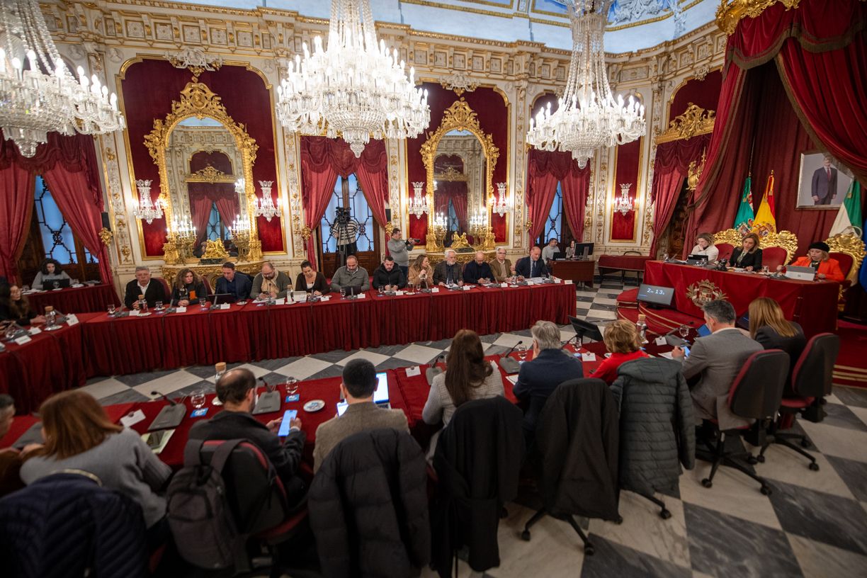 Pleno de la Diputación de Cádiz.