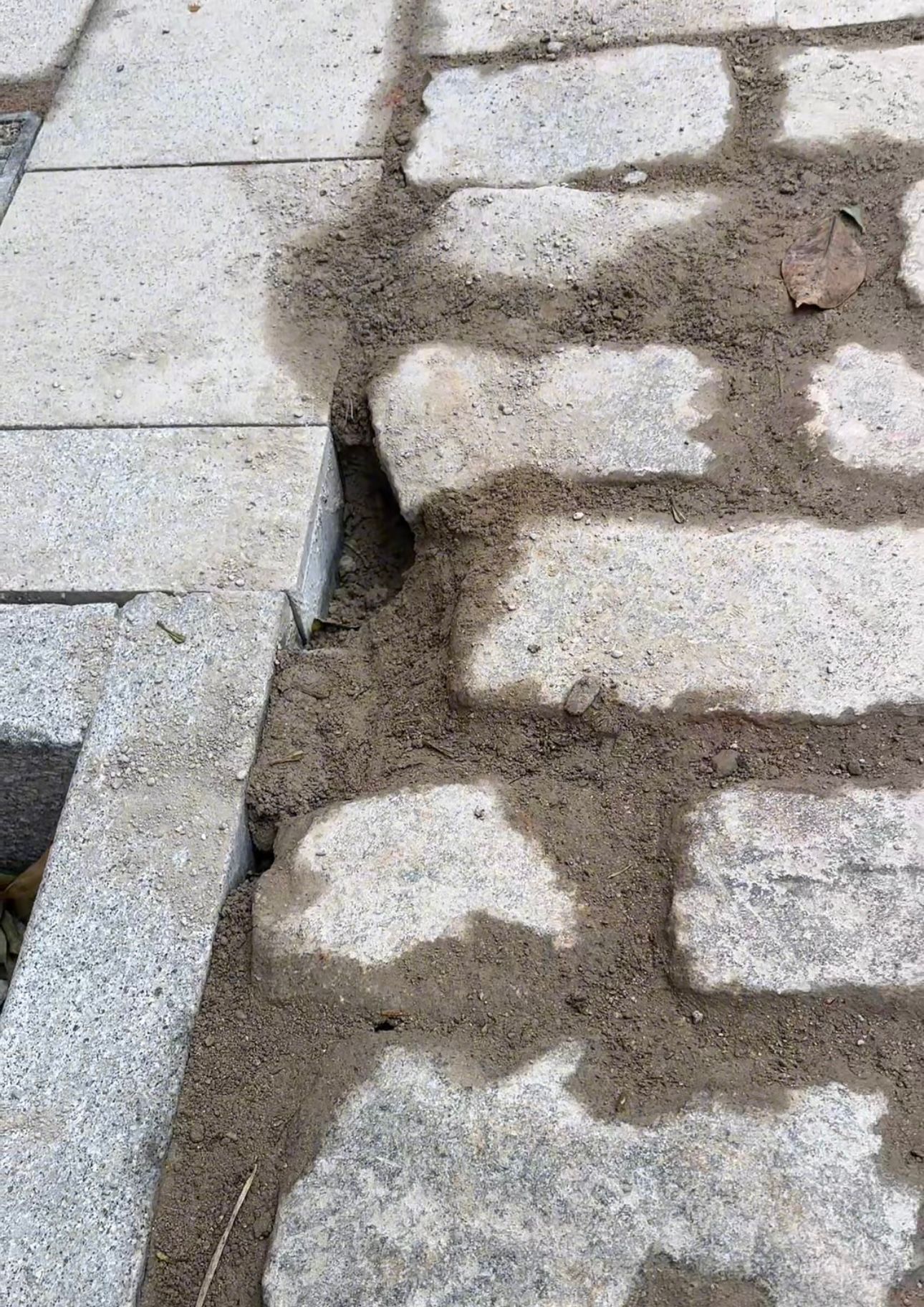 Imagen de las obras de la Plaza Rafael Rivero.