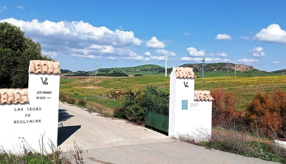 Finca de Medina Sidonia donde se proyecta el parque fotovoltaico, en una imagen de ANA. Finca de Medina Sidonia donde se proyecta el parque fotovoltaico, en una imagen de ANA.