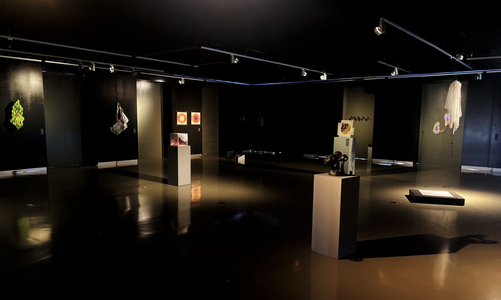 'La inmolación de las células', la nueva exposición en los Claustros de Santo Domingo, en una ubicación en otro lugar antes de llegar a Jerez.