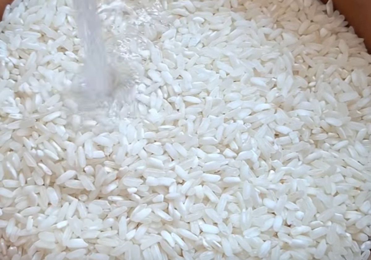 Un puñado de arroz blanco.