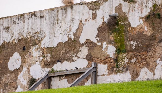 TORREMELGAREJO CHAPA PROVISIONAL DESDE 2019 5