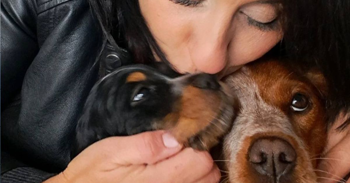 Dagur y Shira, tristemente desaparecidos, junto a Ely.