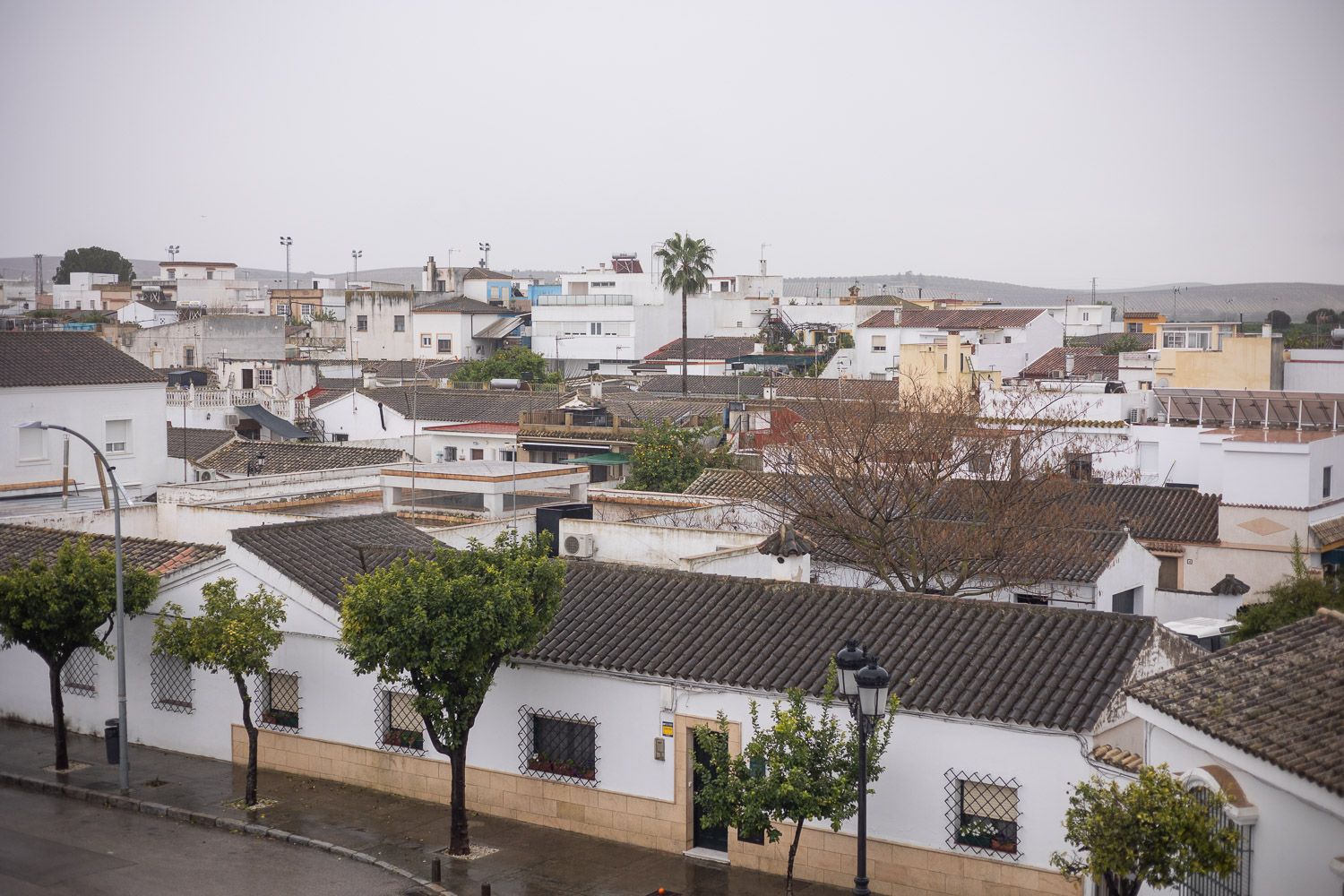 Estella del Marqués, en una imagen de archivo. Estella del Marqués, en una imagen de archivo.