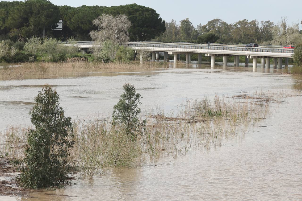 La lluvia prevista en Jerez en los próximos días afectará al Guadalete.