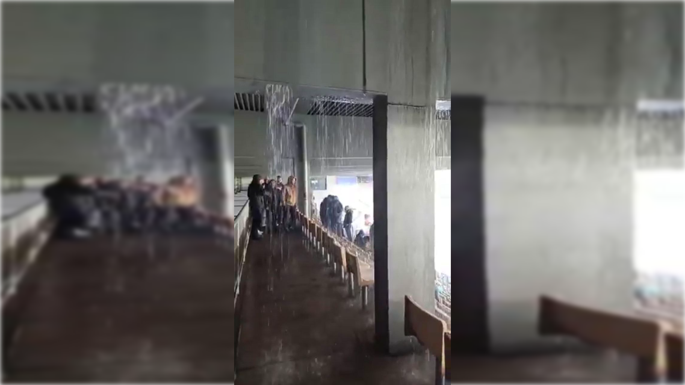 Imagen de Chapín el domingo.  @PeryRomero_3 