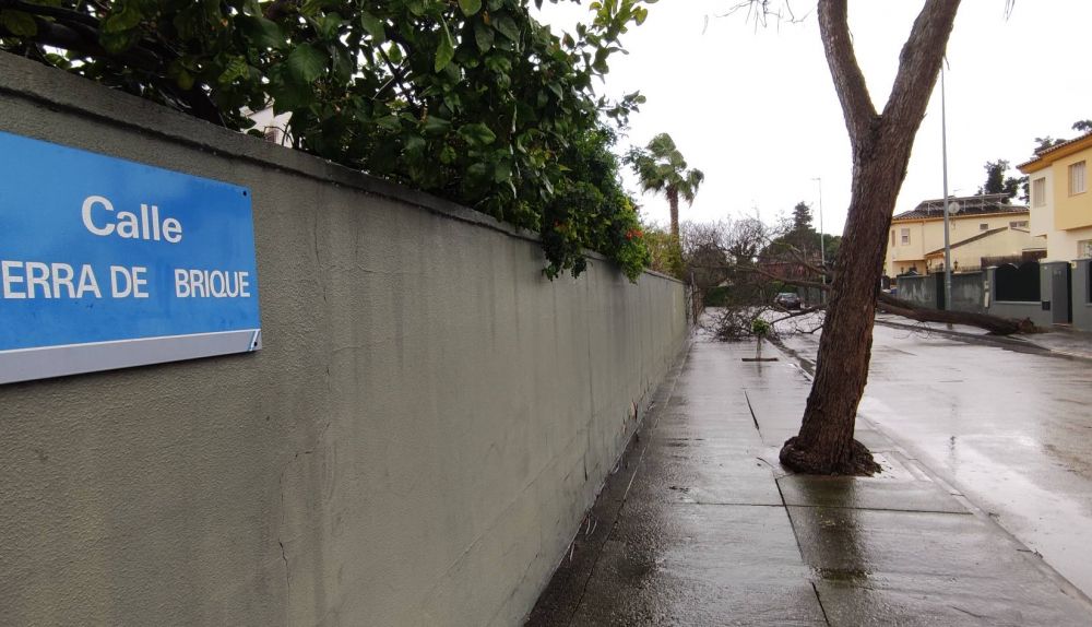 Árbol caído en la calle Sierra de Ubrique.