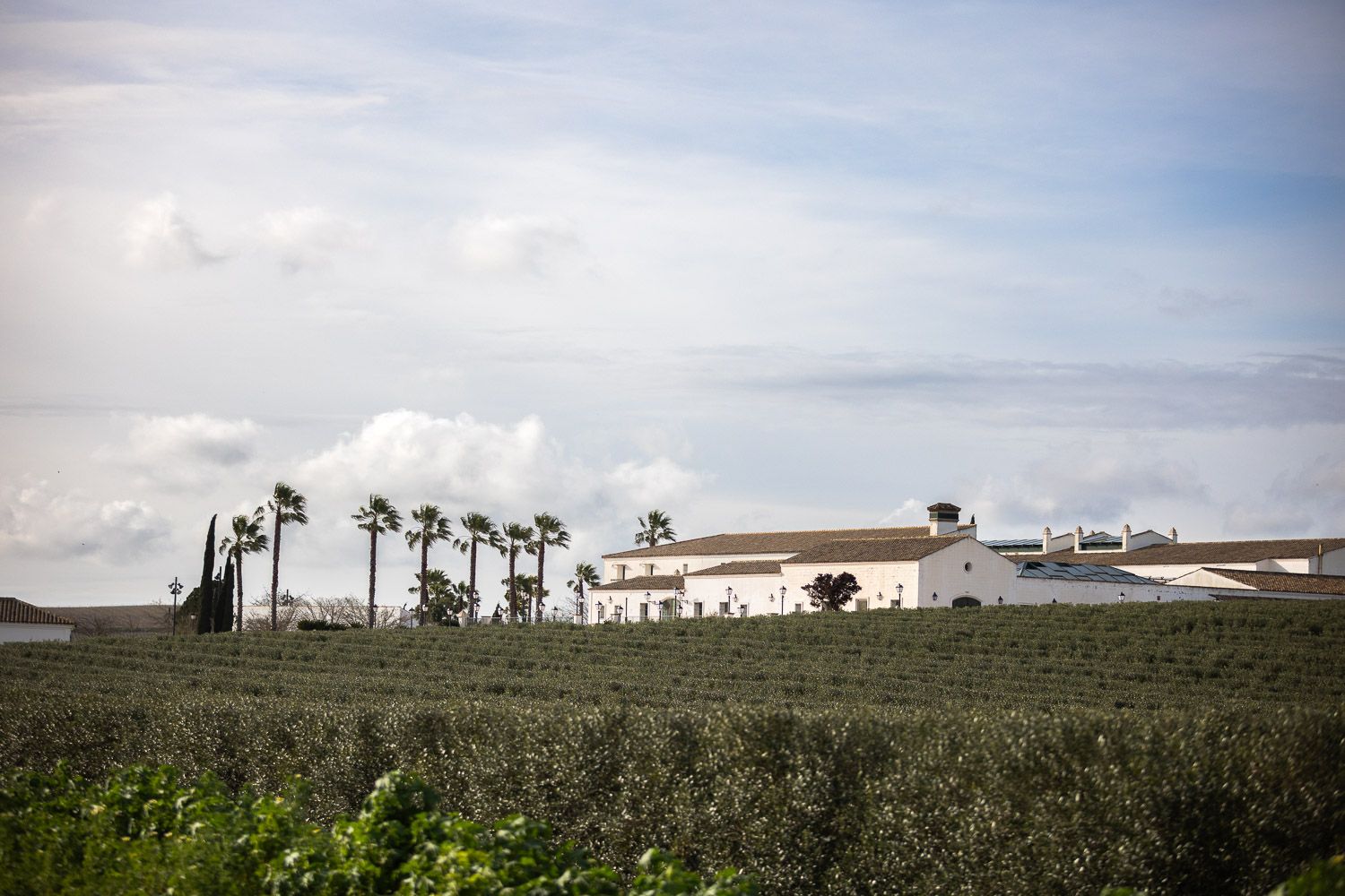 El Cortijo de Ducha se prepara de cara a su reapertura.