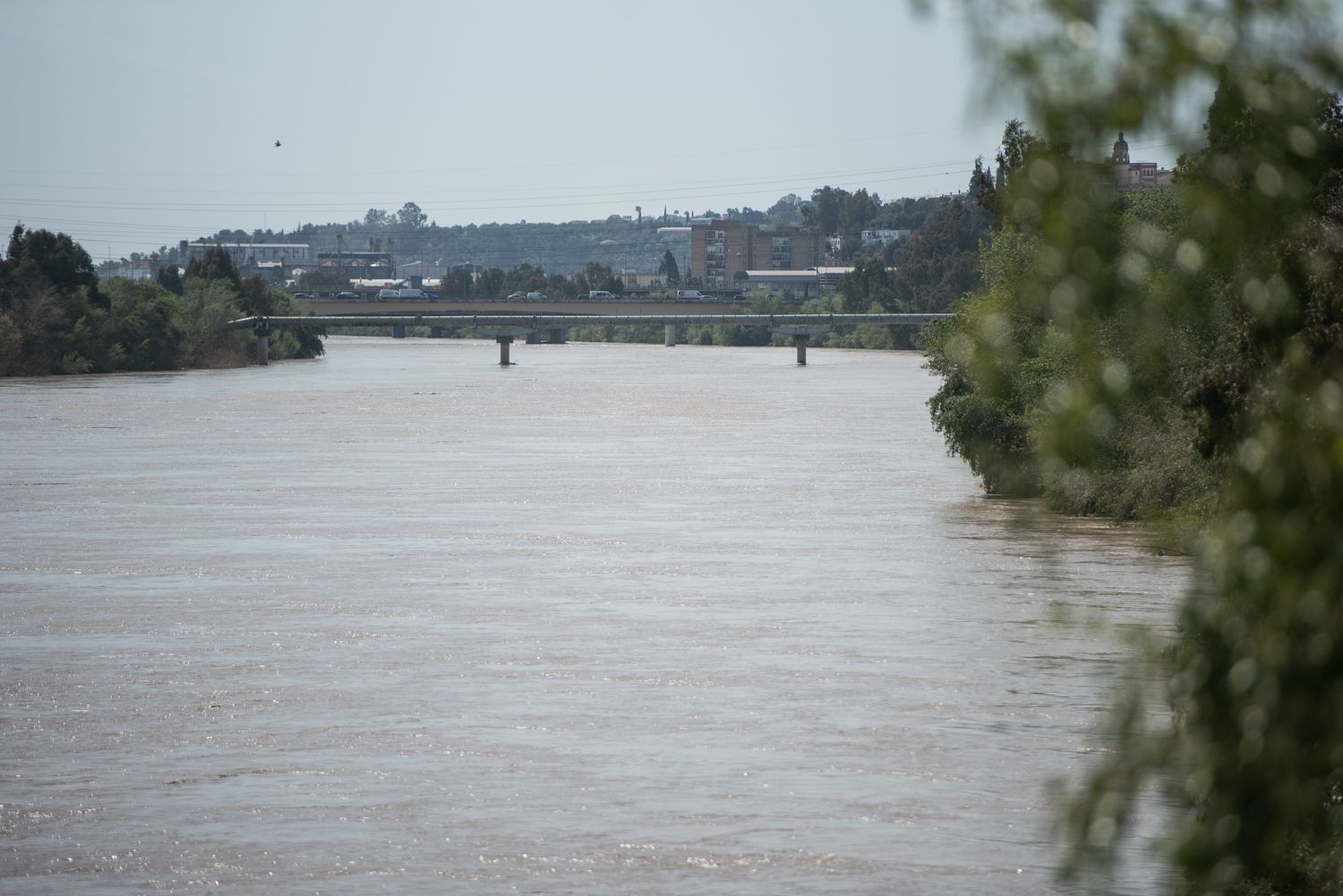 Río Guadalquivir en Sevilla.