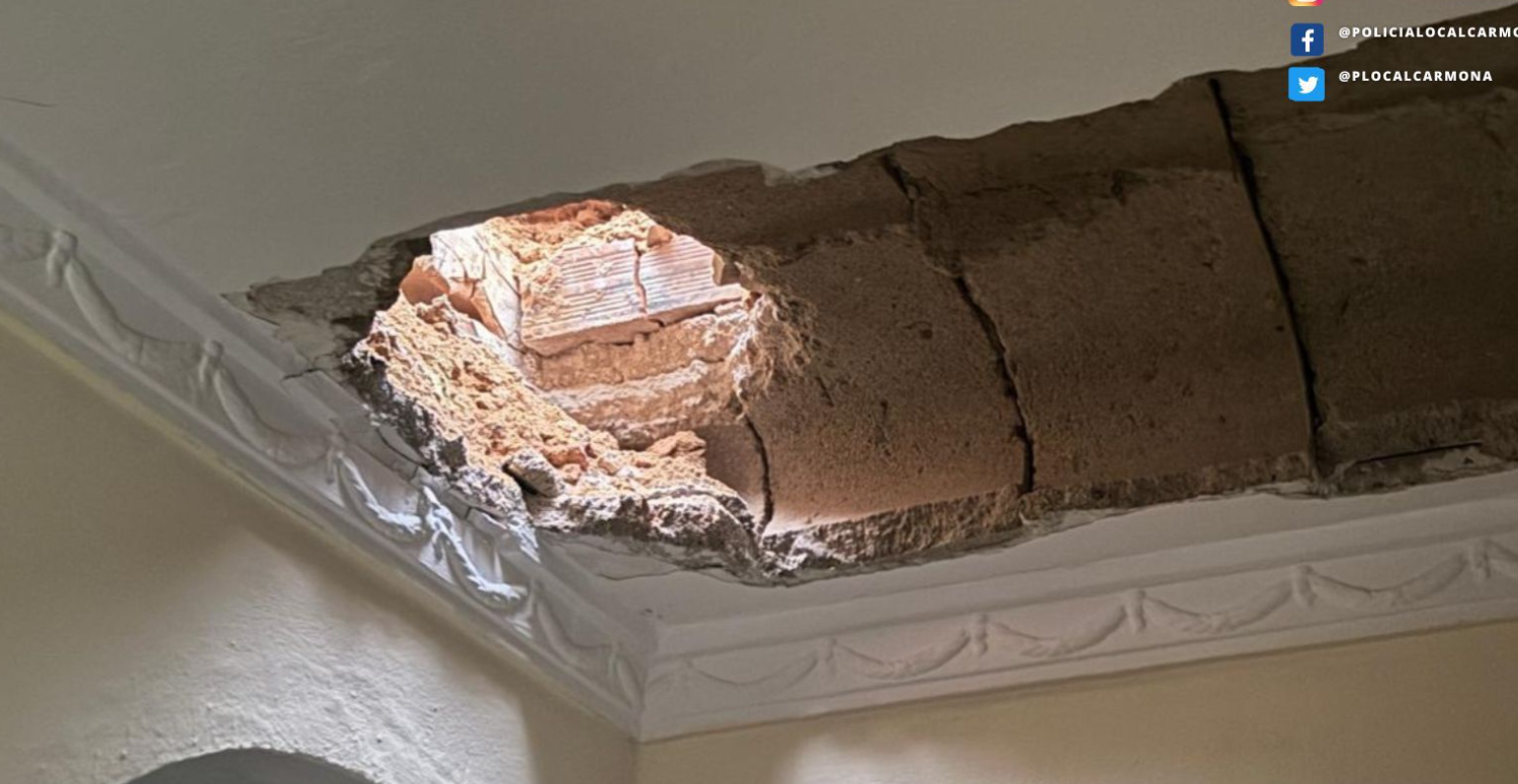 Captura de pantalla 2025 03 21 094748