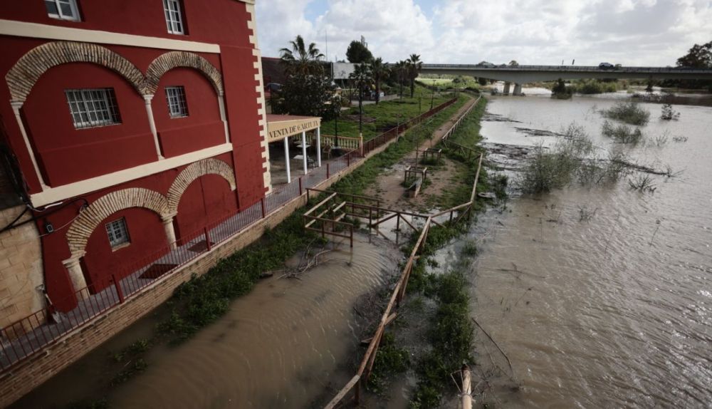 inundacion guadalete corta MANU GARCÍA 8