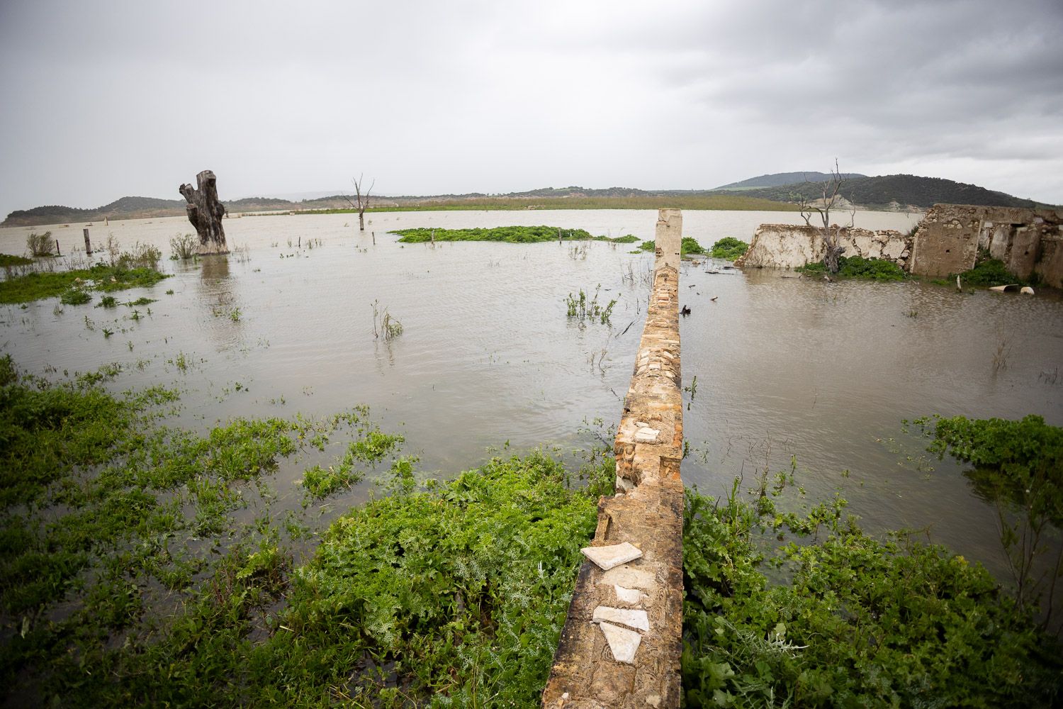El embalse del Guadalcacín, a la altura de la ermita del Mimbral, que está sumergida.