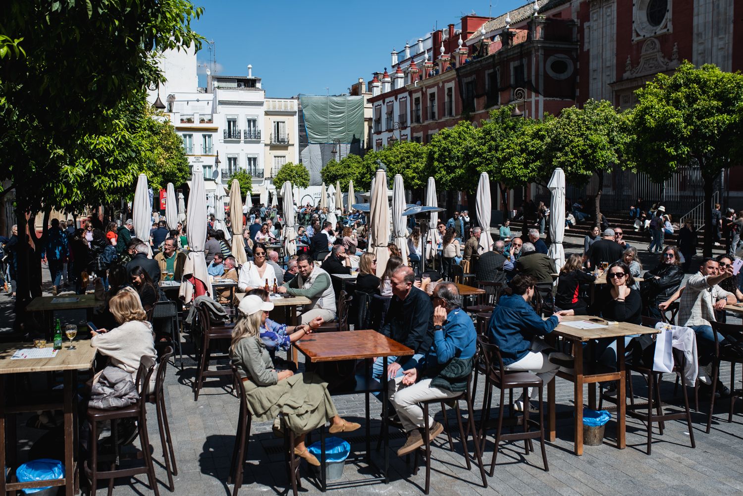 Tras semanas de lluvia, en Sevilla han aprovechado el buen tiempo para tomar el sol. 