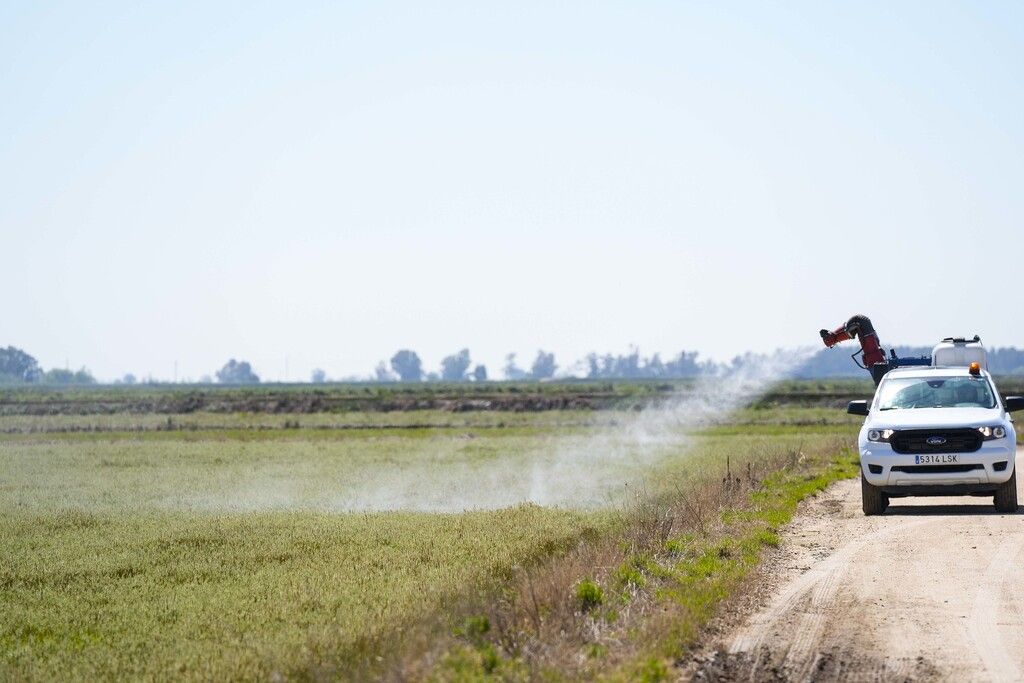 Un vehículo fumiga un campo frente a los mosquitos.
