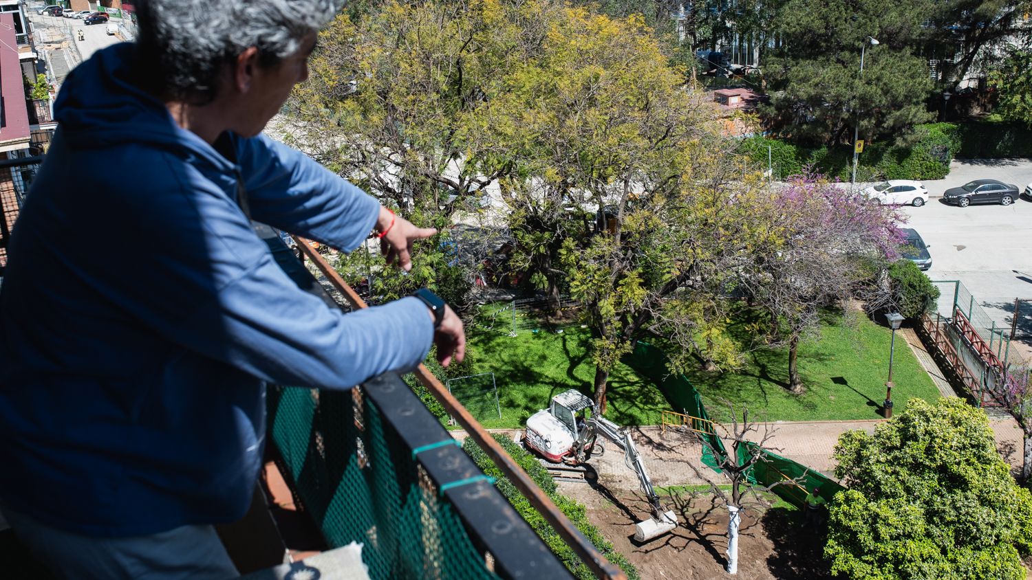 La tala de árboles en el jardín Manuel Ferrand de Los Remedios, en Sevilla.