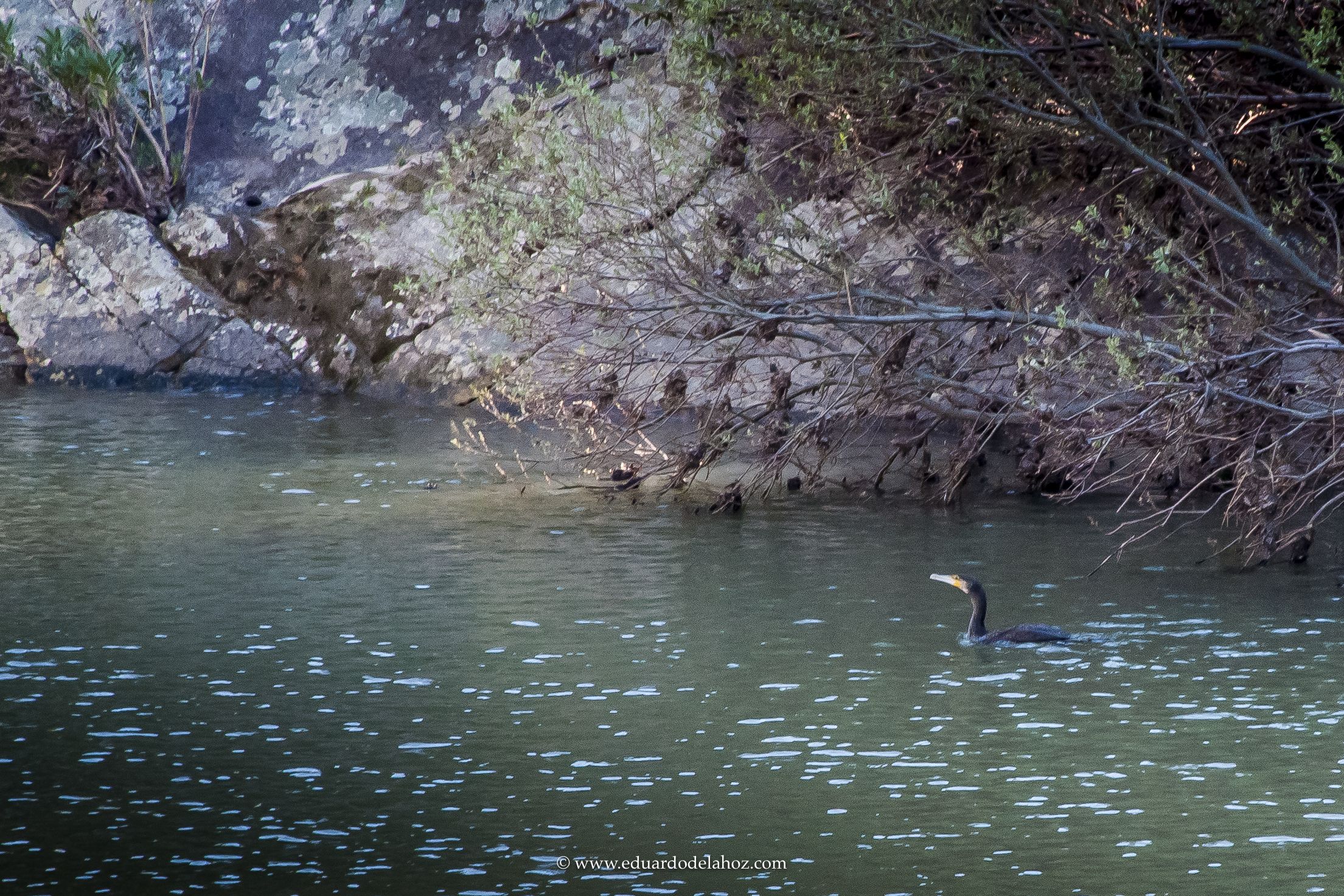 Jimena, un paraíso.