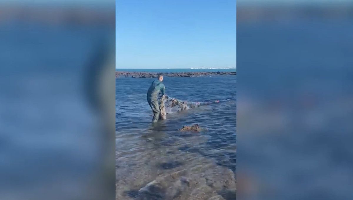 Retiran un trasmallo ilegal en la playa de La Caleta de Cádiz.