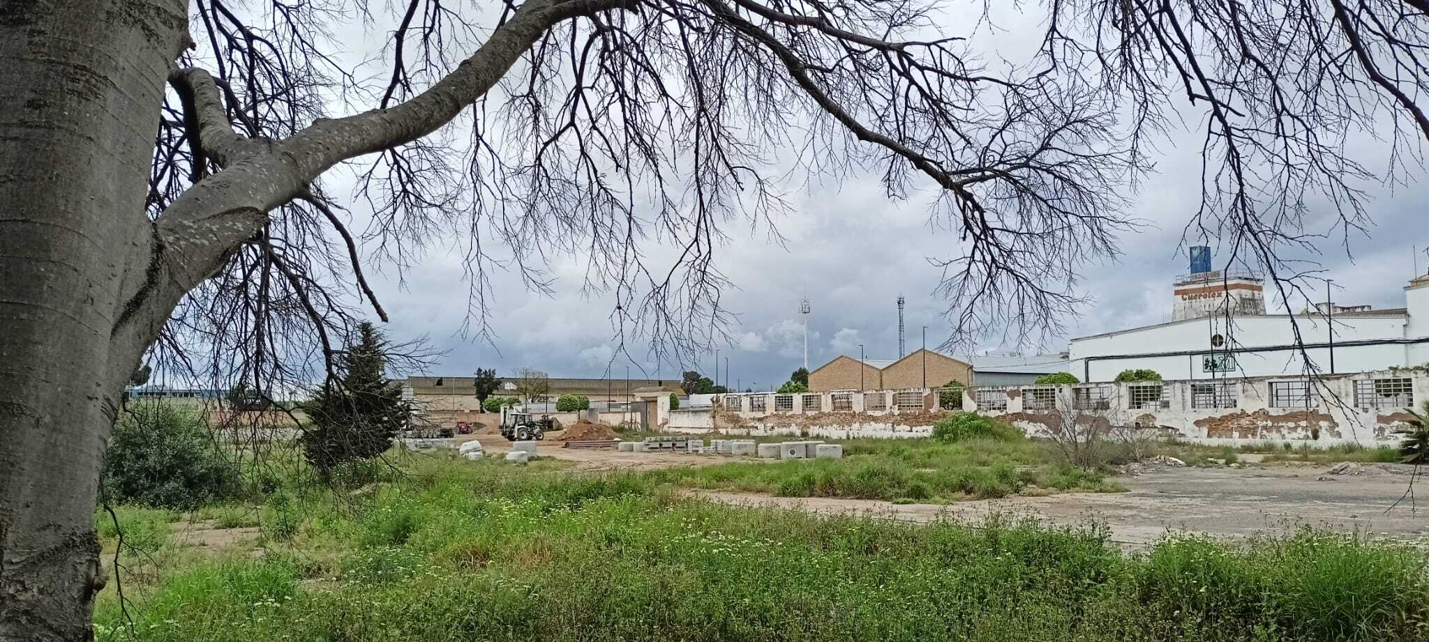 Terrenos próximos a la construcción del nuevo aparcamiento en Pilas.