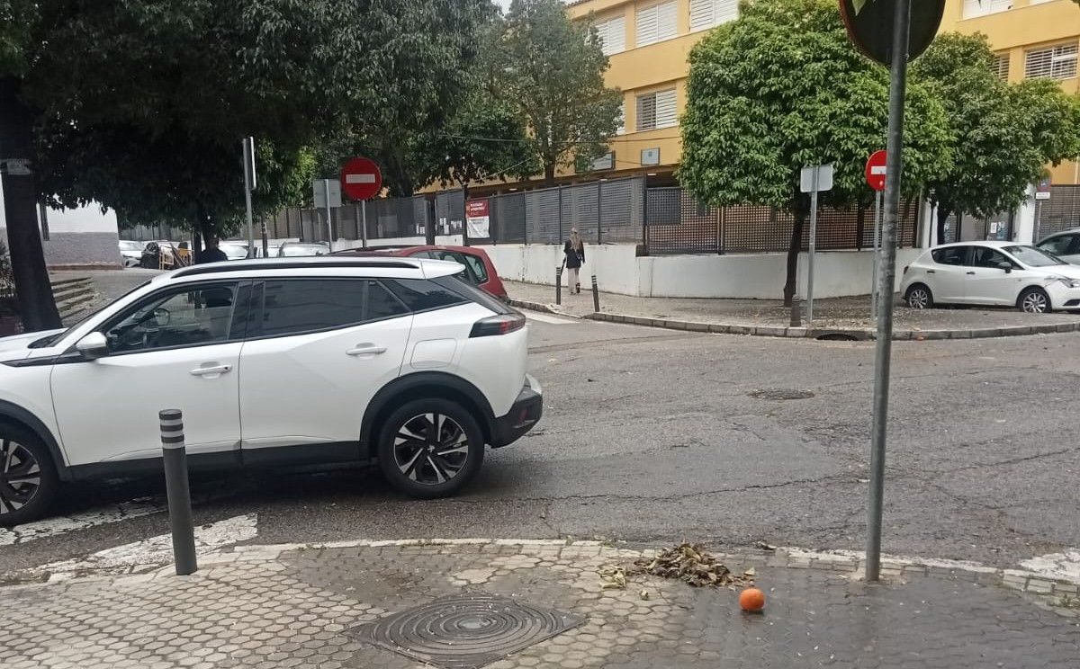Imagen de las calles de Sevilla tras los trabajos de Lipasam y Emasesa.