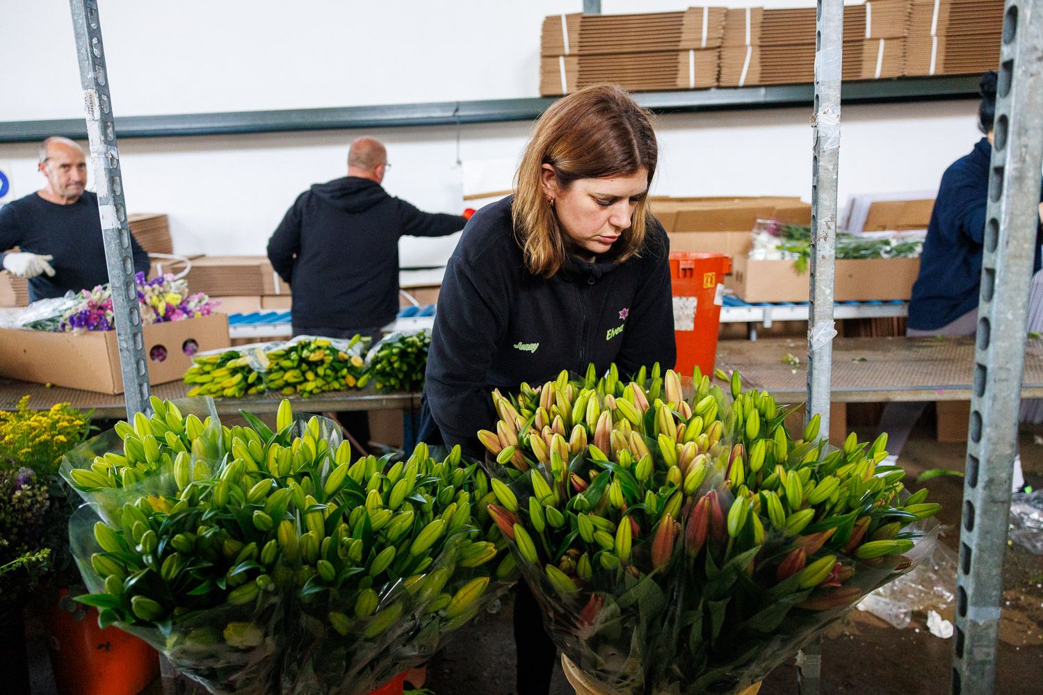 Preparación previa a la creación y diseño de ramos de flores para San Valentín