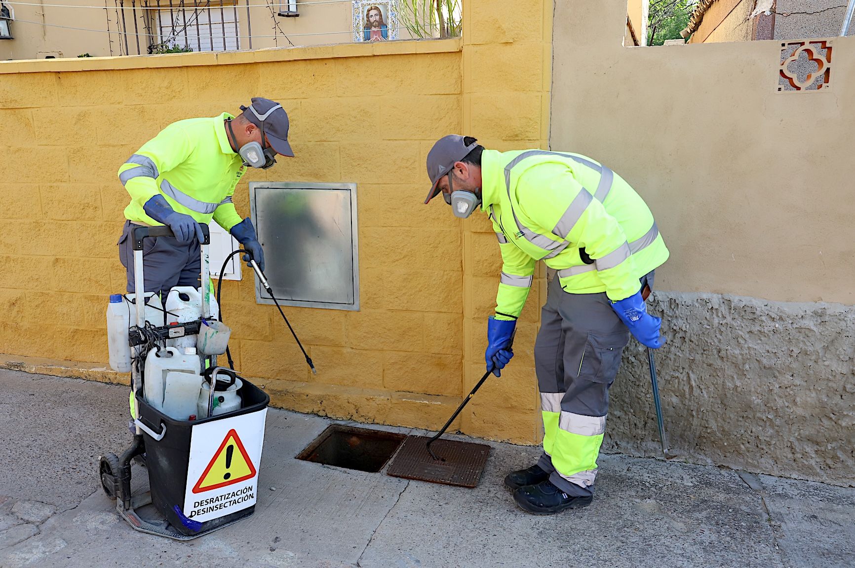 Operarios trabajando para evitar plagas de ratas.