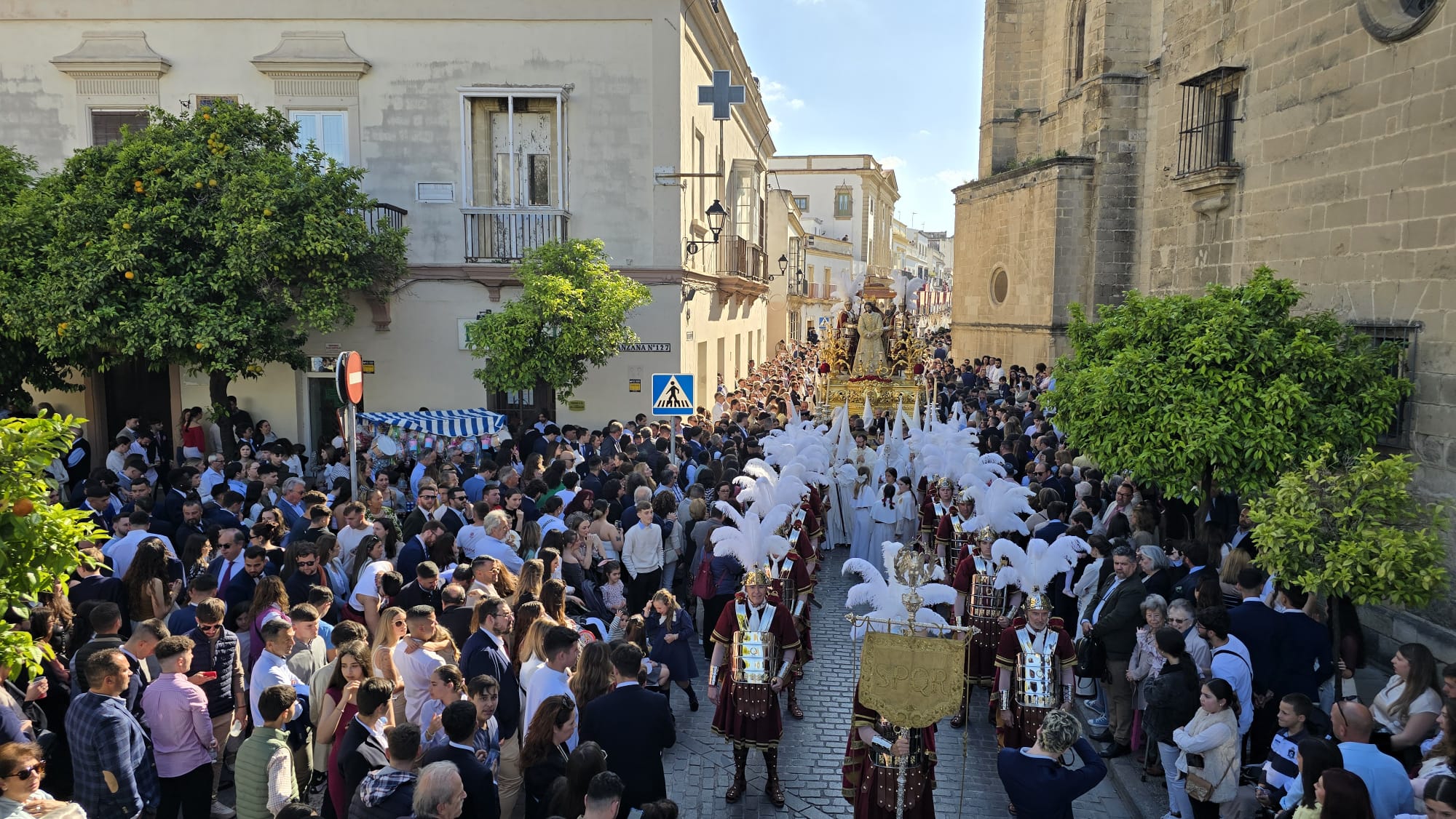 La hermandad del Transporte, bajando por la calle Merced este Domingo de Ramos.