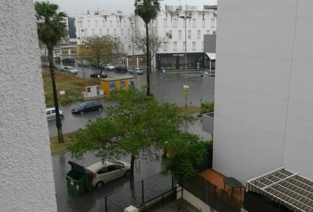 13214406_10154869443927942_1622110877_o