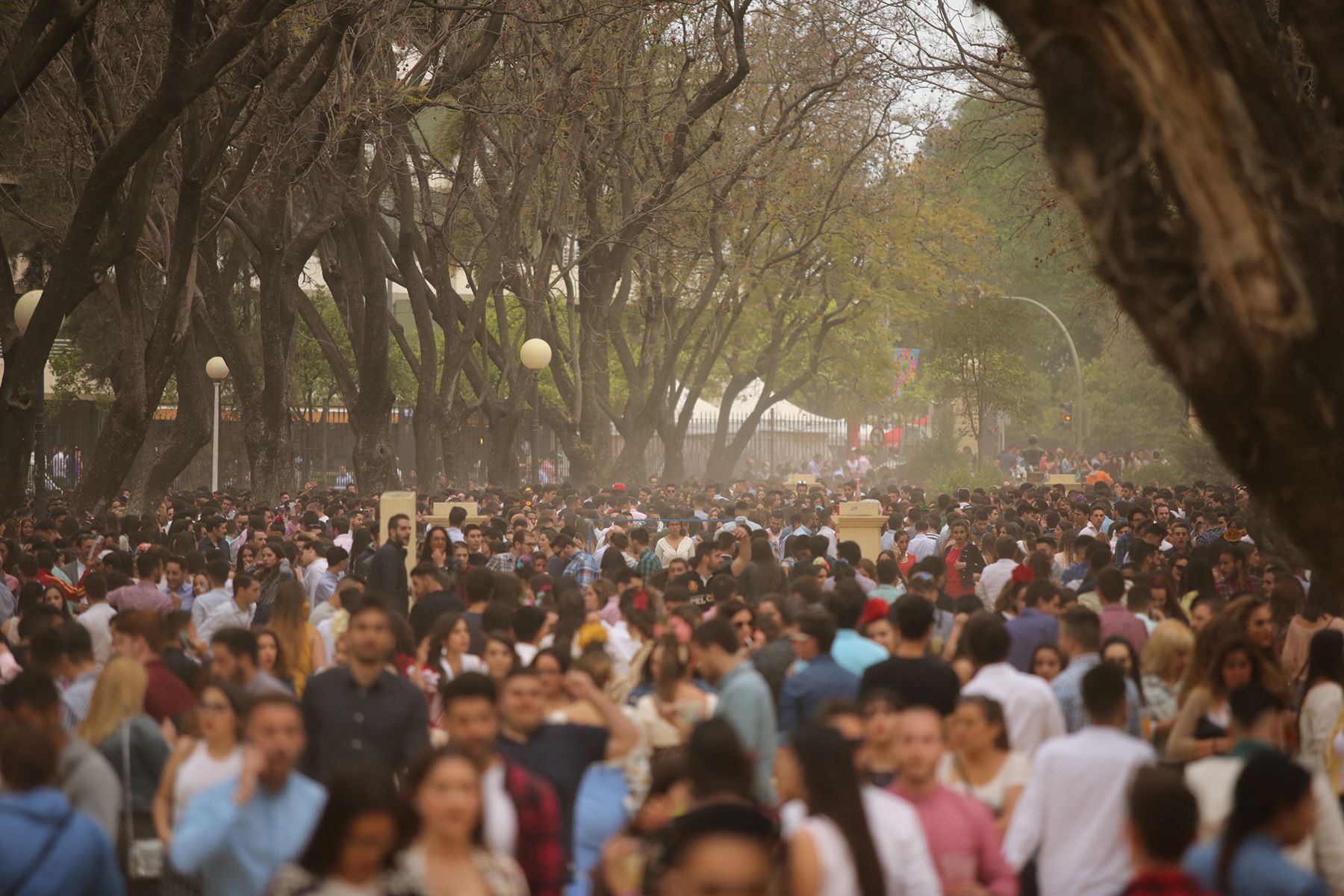 miercoles_de_feria0066