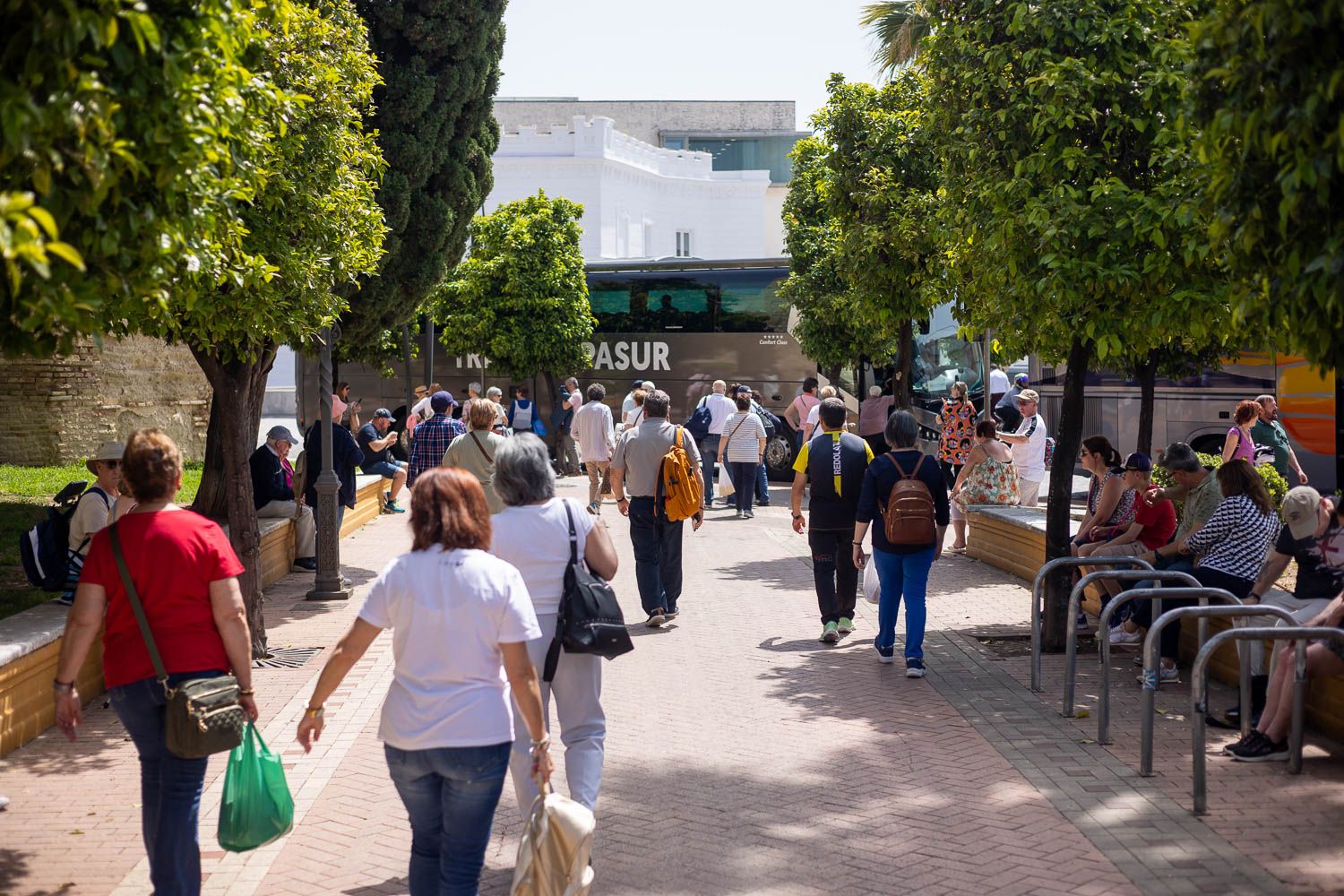Un día soleado en Jerez.