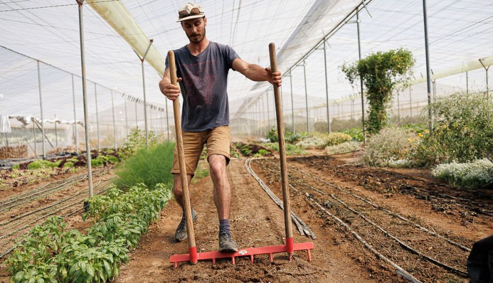 La Milpa Andrew Vejer 02