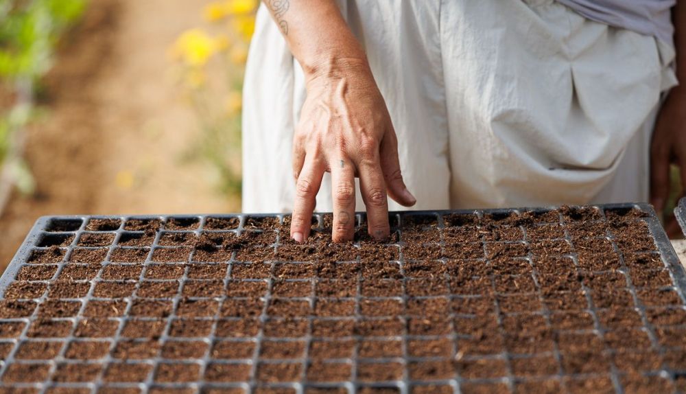 La Milpa Andrew Vejer 12