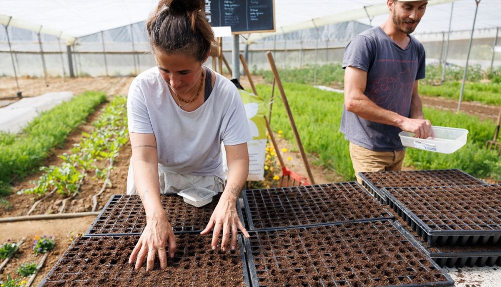 La Milpa Andrew Vejer 13