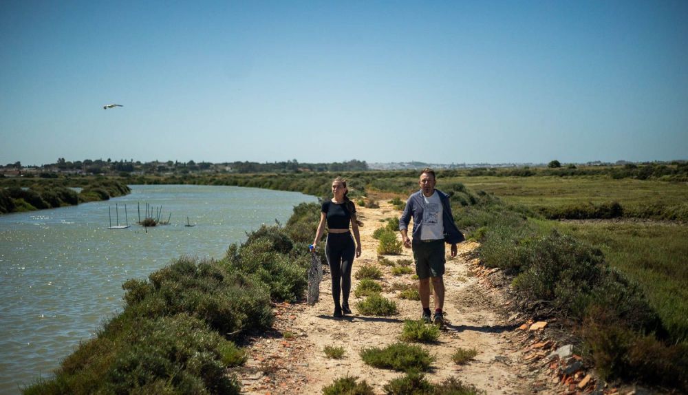 SALICORNIA EN POLVO SALINA SANTA BARBARA 13