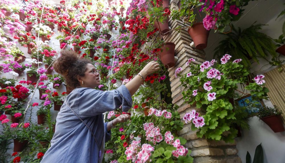 Uno de los patios que se abren al público en esta fiesta cordobesa.   EFE/Salas