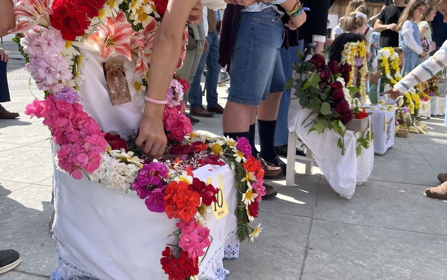 Casi una cuarentena de Mayas han participado en el concurso