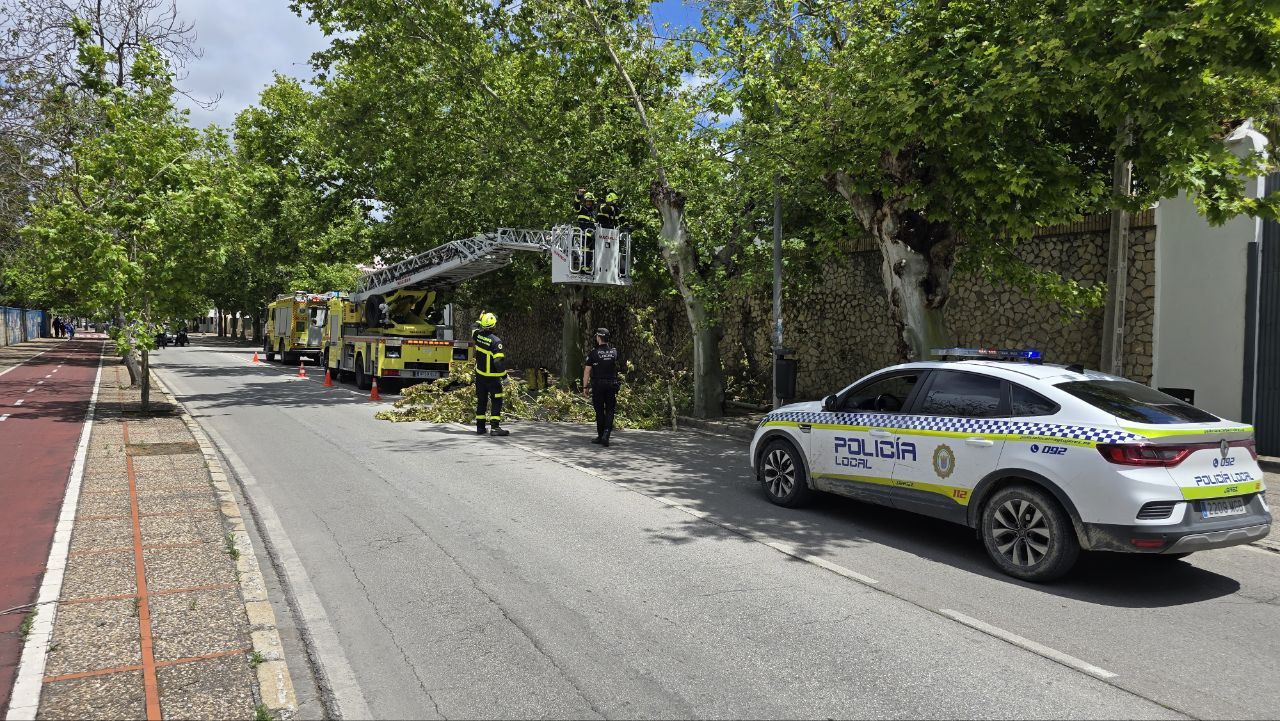 photo 5816620015531706666 y