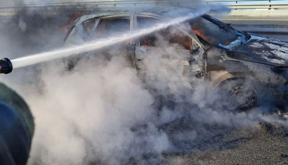 e1d6a856 ef13 40da 8338 3cddbb014048 (1)