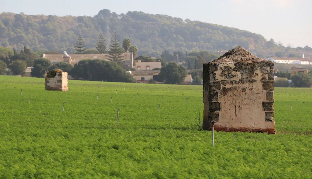 Estado de los Pozos de La Piedad.
