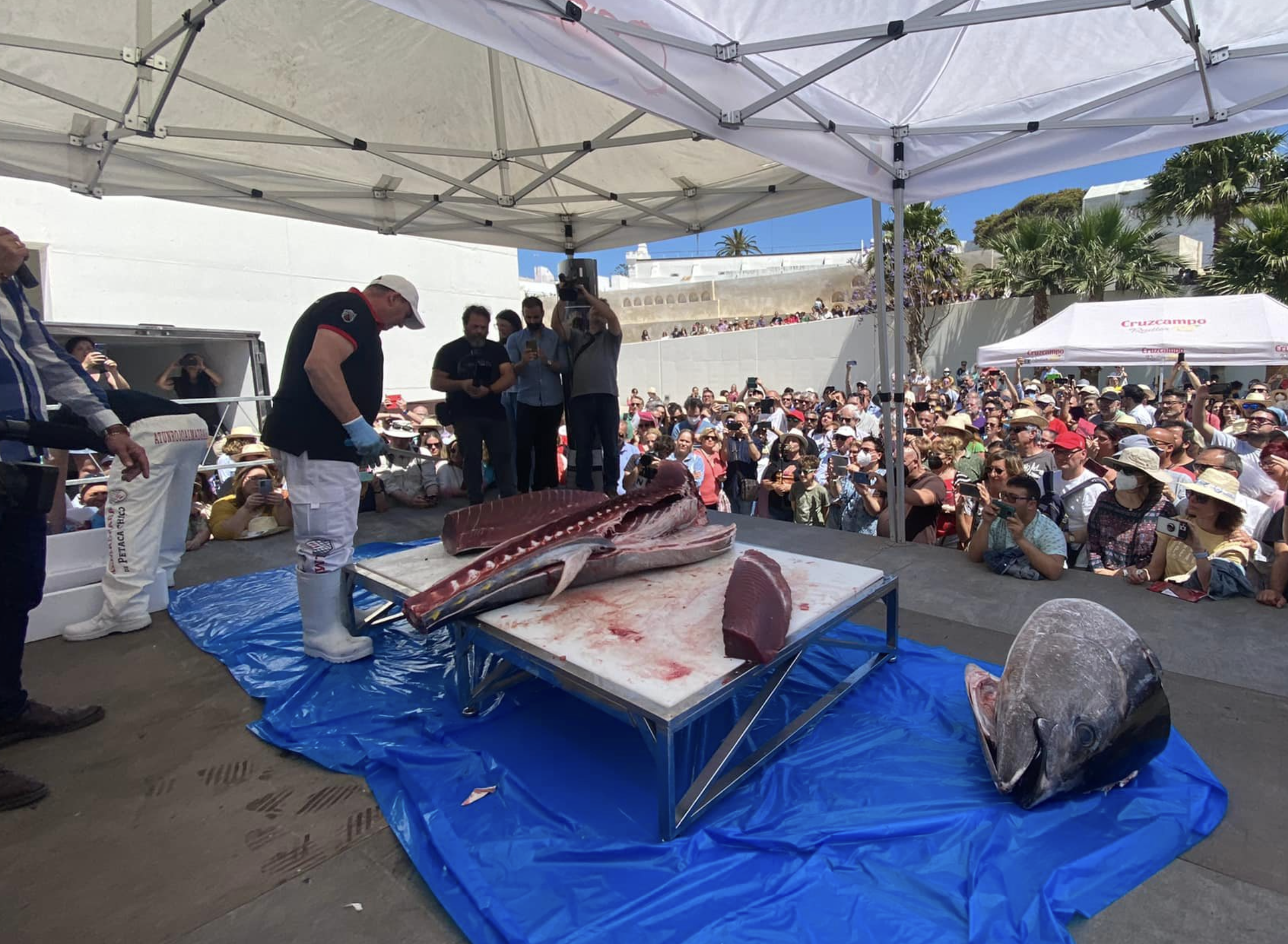 La Ruta gastronómica del atún en Conil, en una edición pasada.
