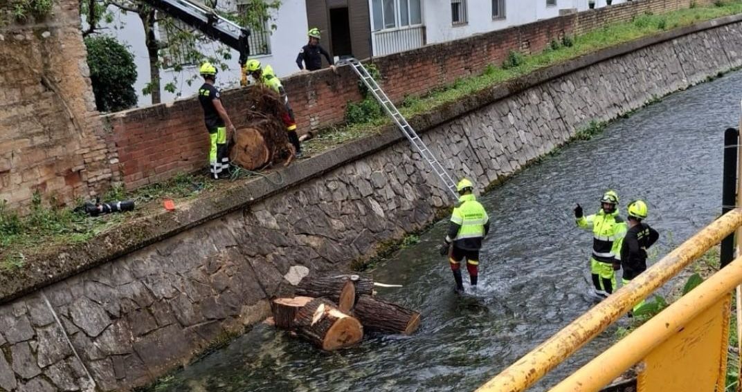 WhatsApp Image 2025 05 05 at 15.14.24