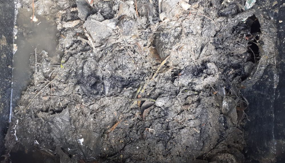 WhatsApp Image 2025 05 07 at 12.48.25