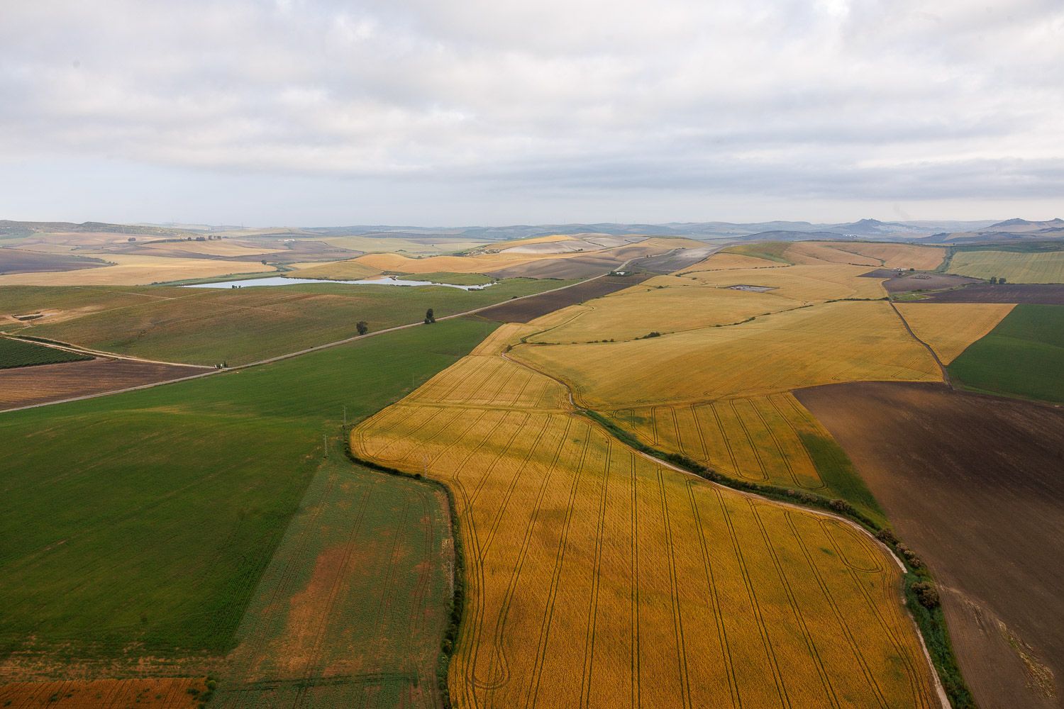Vistas de los campos.