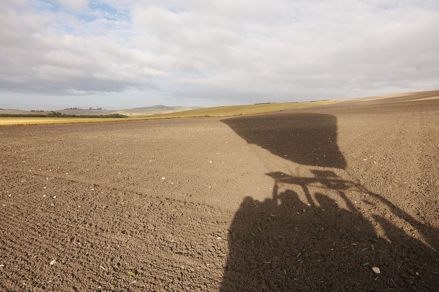 La sombra sobre los campos.