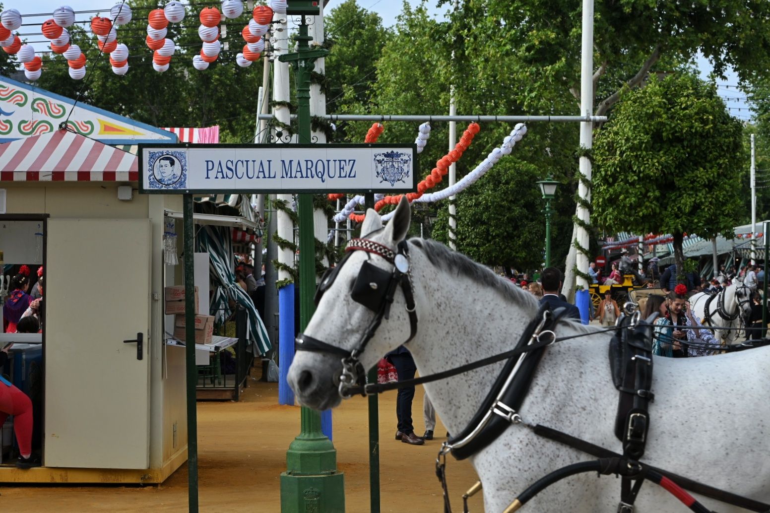 Ambiente este jueves en la Feria de Sevilla 2025.   MAURI BUHIGAS