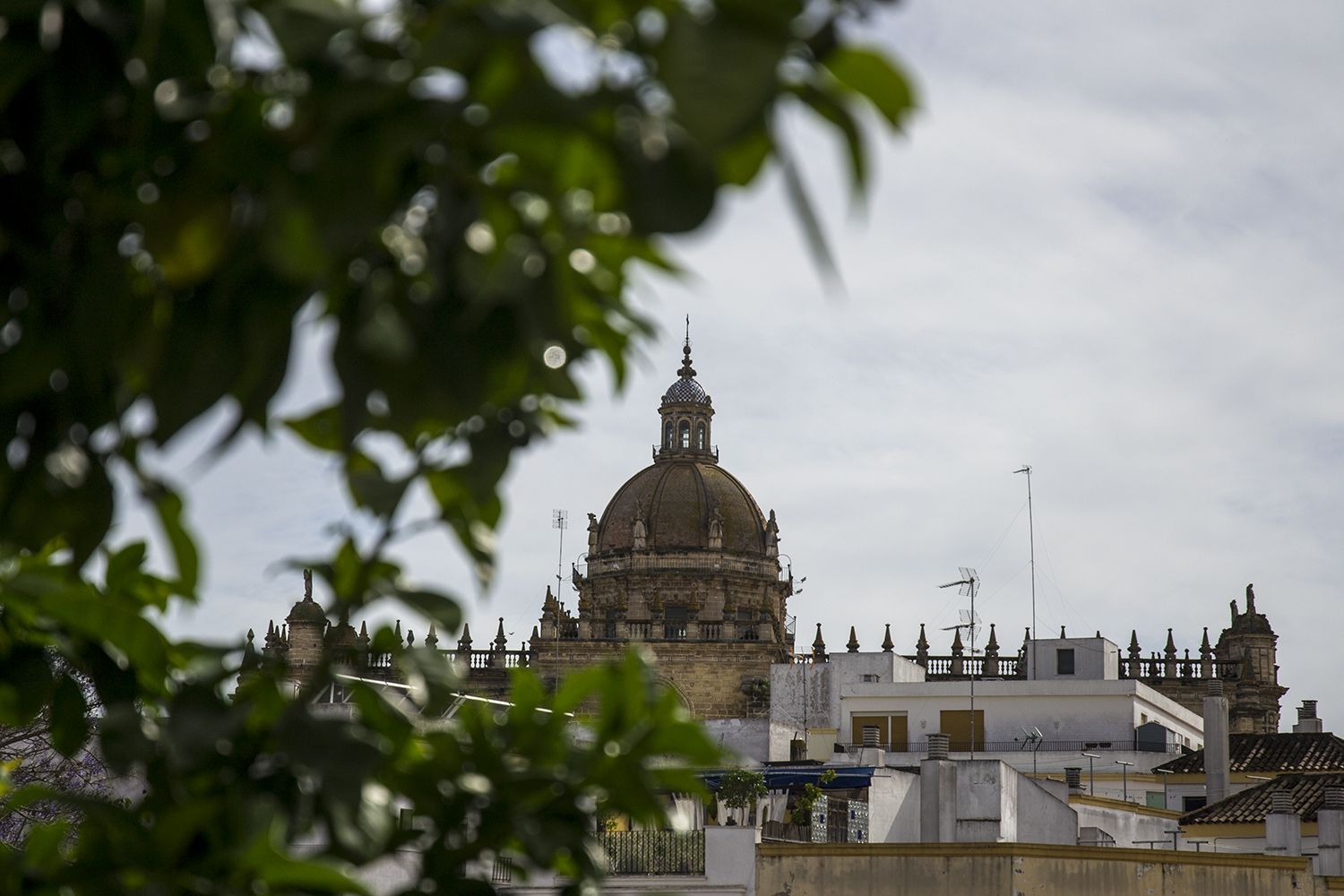 La Catedral de Jerez, en una imagen reciente.