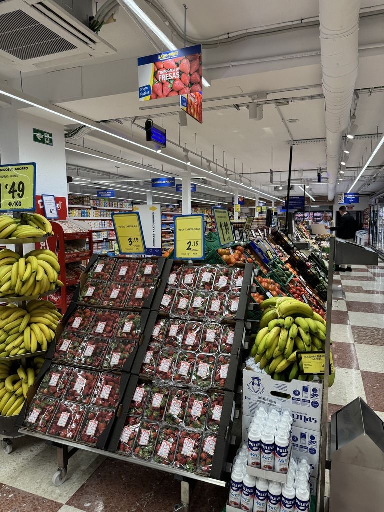 496522681 1144393187731891 475060120132427008 n