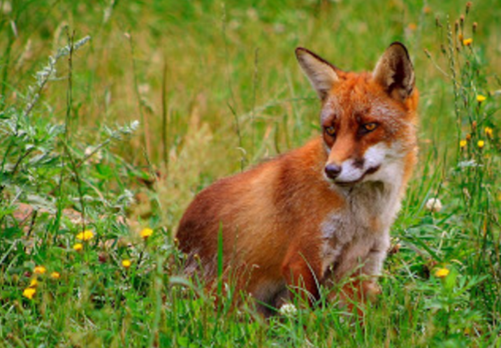 captura_de_pantalla_2016-05-19_a_las_20.23.50